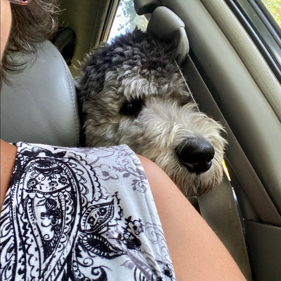 Meet the Posher - Picture 3 of 7